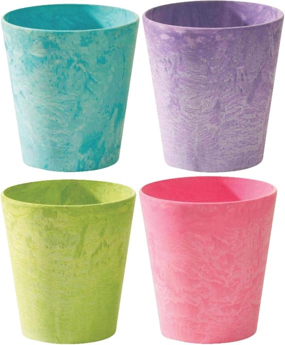 Novelty 5" BRT Cache Pot ASSTD