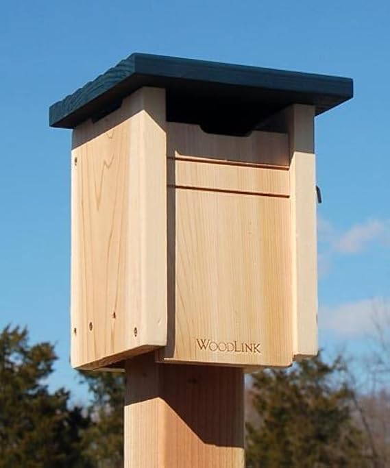Woodlink Bluebird/Swallow House