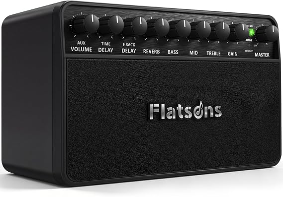 Flatsons FBA-20 20W Portable Rechargeable Electric Guitar Amp