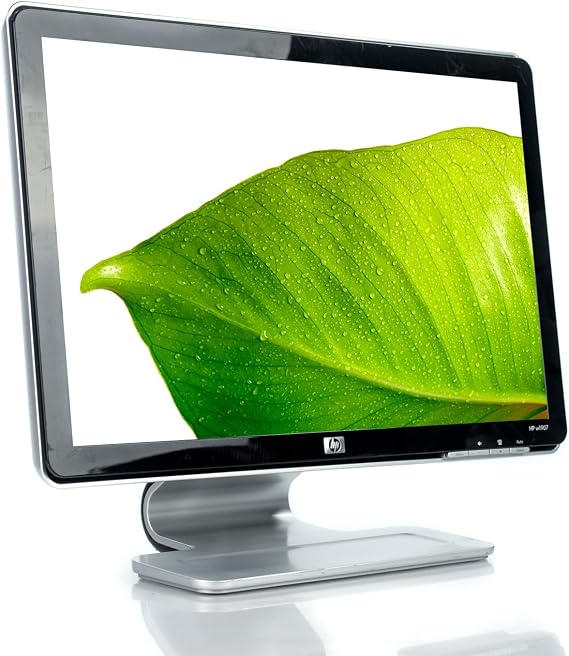 HP W1907 19-inch Widescreen Flat Panel LCD Monitor