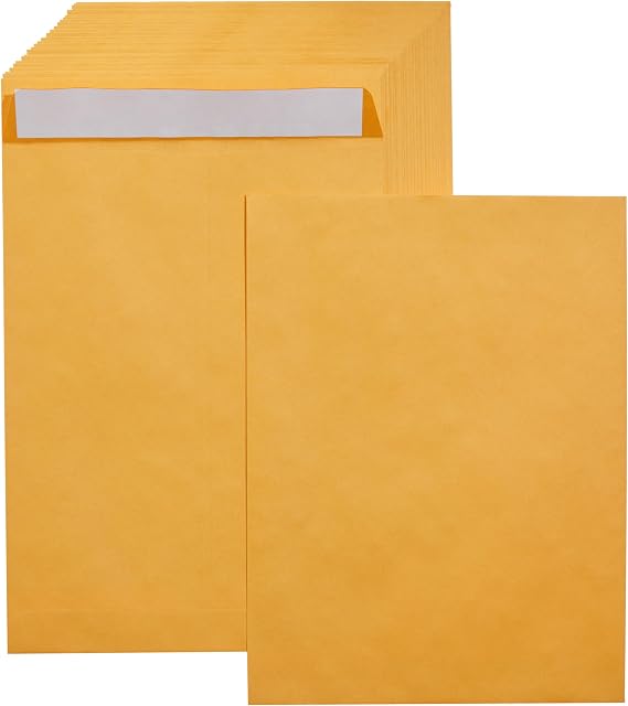 Amazon Basics Catalog Mailing Envelopes, Peel and Seal, 9" x 12", Brown Kraft, 100-Pack