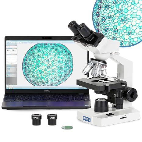 AmScope OMAX M82E Binocular Compound Microscope, 40X-1000X