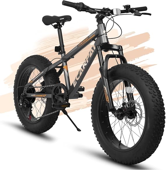 Ecarpat 20 24 inch Kids Fat Bike for Boys Girls 8+ Years Old, Girls Boys Fat Tire Bike with Front Suspension, 7-Speed Boys Girls Mountain Bikes to School,Park and Short Trip, Birthday Gift Choice