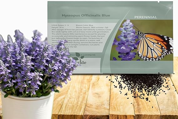 Outsidepride Blue Hyssop Seeds for Planting - 1000 Pcs Perennial Herb Garden Seeds with Fragrant Blooms Attractive to Pollinators, for Small Gardens, Containers, Xeriscaping