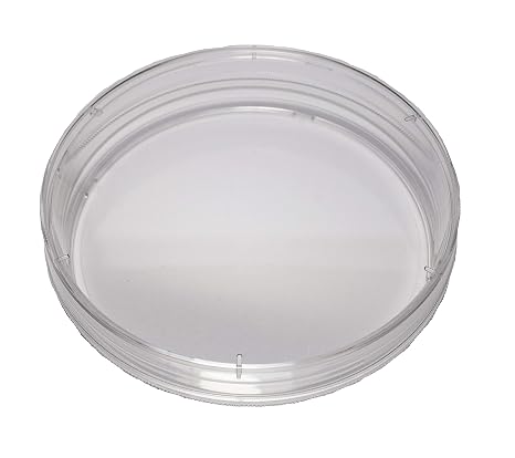 Polystyrene 10 cm Treated Cell Culture Disc