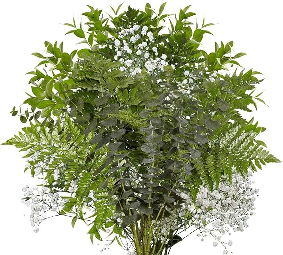 GlobalRose Fillers Combo Pack 100 Stems of Ruscus