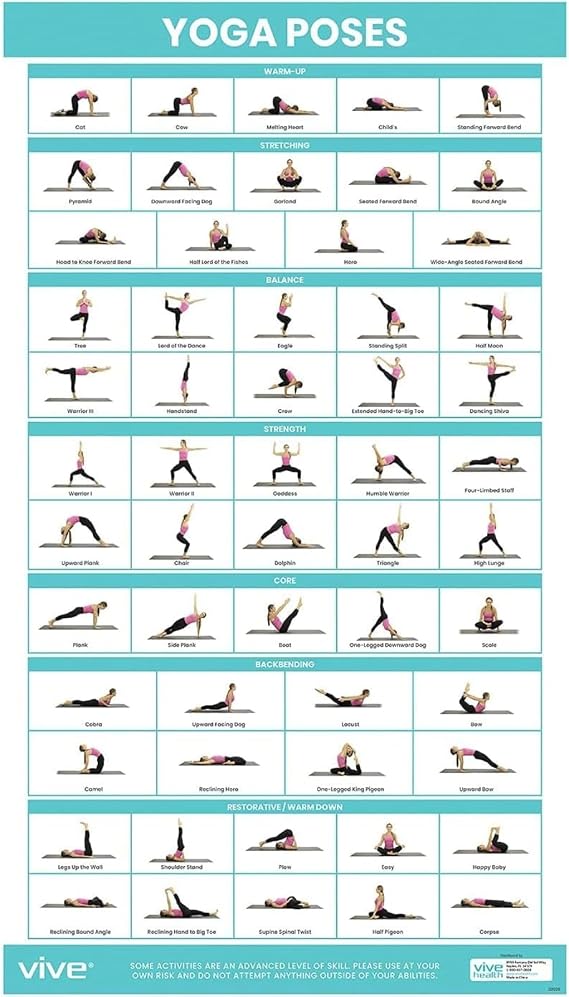 Vive Yoga Poster - Poses for Beginners and Experts - Mat Exercise Home Gym | Workout Accessories Set- Double Sided Laminated Flow Chart Accessory - Instructional Guided Routine - for Women, Men