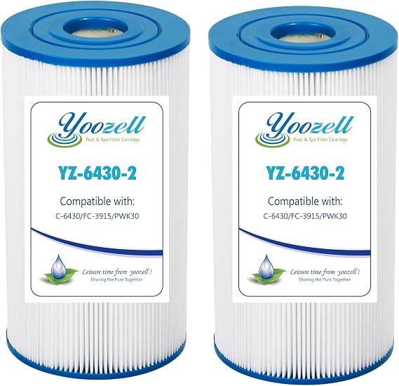 6430 Pool Filter Cartridge Replacement 2 Pack