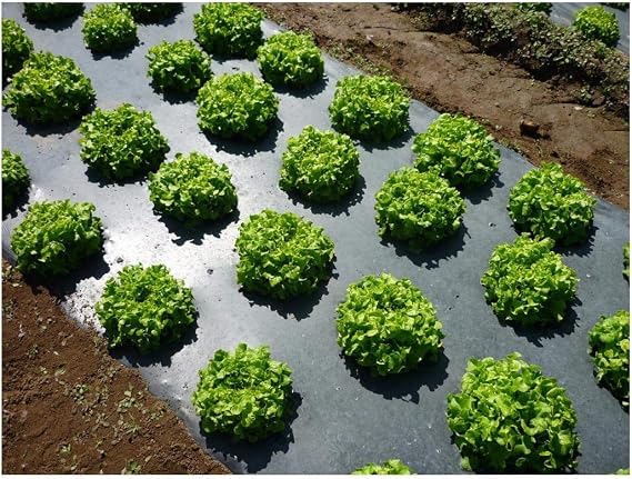 Grower's Solution Black Plastic Mulch 4ft. X 100ft. 1.0 Mil Embossed
