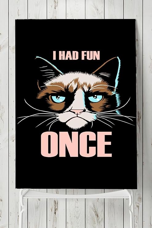 Postermanya (pster4961) Huysuz Kedi Eğlenceli Mizahi Poster (30x40cm)