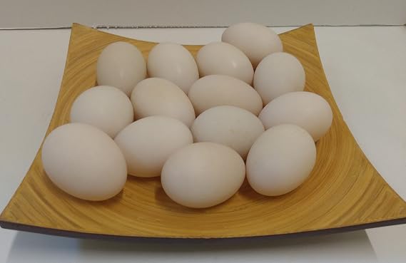 Generic Fresh Duck Eggs for Eating. Whole Duck Eggs for Baking. One Dozen Pasture Raised Free Range Duck Eggs. GA Sky Family Farm