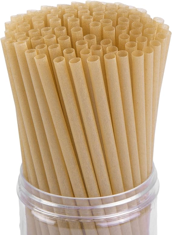 HANSGO Sugarcane Straws, 200PCS Drink Straws Disposable for Hot Cold Drinks
