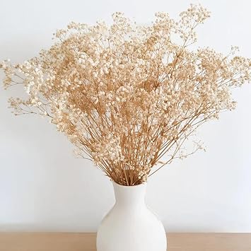 Dried Flowers Babys Breath Flowers Bouquet with Lights,17.2 inch Natural Ivory Bulk Flowers Real Gypsophila Branches for Home Wedding Wreath Floral Boho Decor Dry Flowers for Vase (Beige)