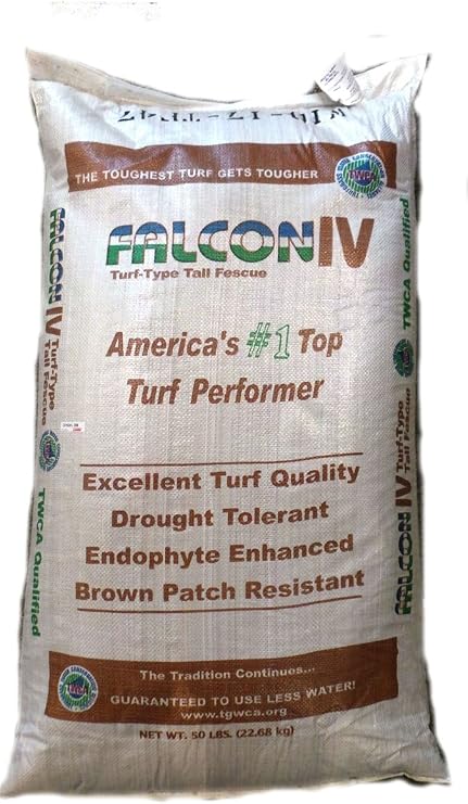 SeedRanch Falcon IV Turf Type Tall Fescue Grass Seeds - 25 lbs.
