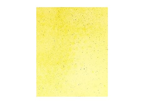 SpotOn Water Sensitive Paper (WSP) for Sprayer Calibration - One Pack of 9.75"x11.75" Paper - 5 Big Sheets - Reduce Waste and Ensure Consistent Application of Spray Droplets - Assess Spray Coverage