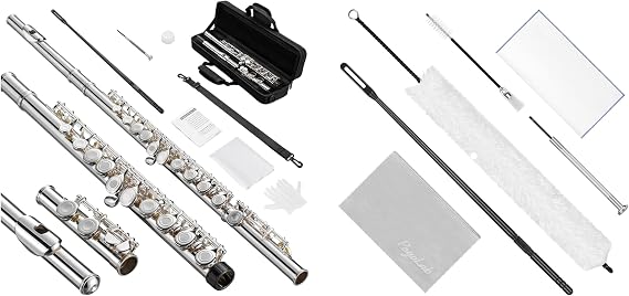 POGOLAB Silver Plated Flute + Flute Cleaning Kit