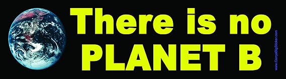 There is No Planet B Bumper Sticker