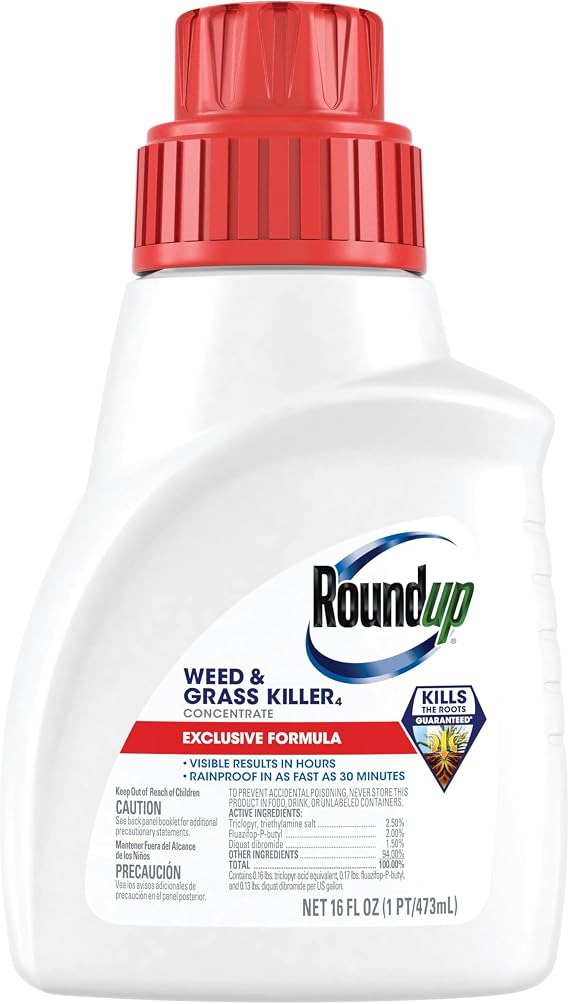 Roundup Weed & Grass Killer4 Concentrate, Use in and Around Flower Beds, Walkways and Other Areas of Your Yard, 16 fl. oz.