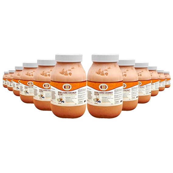 Blueberry Coconut Milk Kefir 5-Day Fermented, Vegan Probiotic Superfood for Gut & Digestive Health Dairy-Free, Low Sugar | by This Chick Is Raw (Gallon)