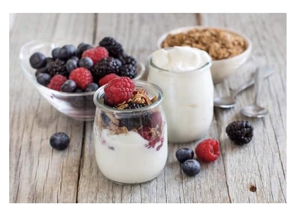 Bollnasfil Heirloom Mesophilic Yogurt Starter Culture
