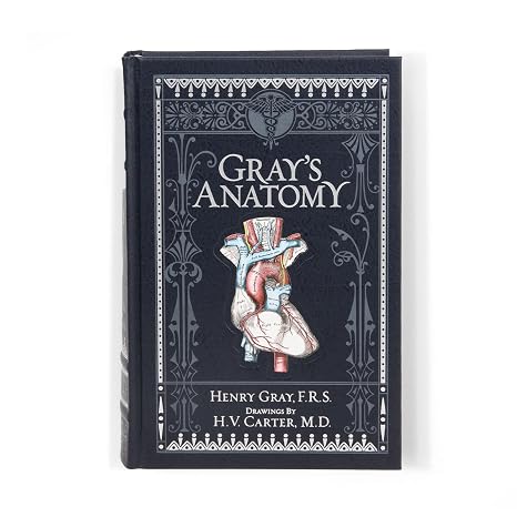 Gray's Anatomy