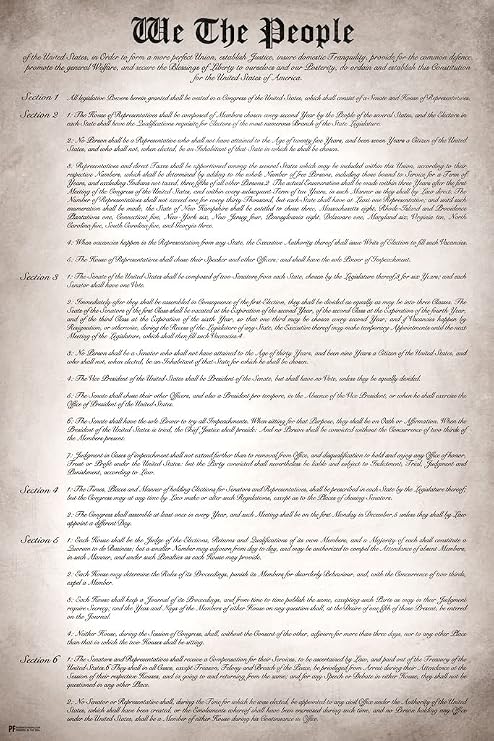 Constitution of The United States Poster US America History Readable Version For Classroom American Government Cool Wall Art Print Poster 12x18