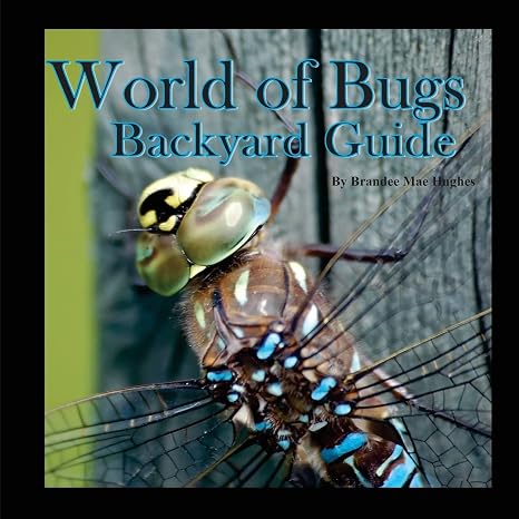 World of Bugs 2: Backyard Guide
