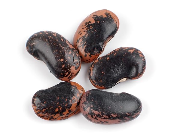 D'Allesandro Scarlet Runner Beans, Dried, 10-Pound Bag Gourmet Buttery Flavor Beans for Soups and Salads