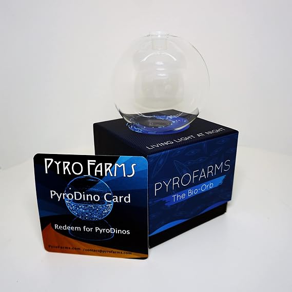 The Bioluminescent Bio-Orb Gift Option - Living Orb with Free Glowing Plankton Coupon