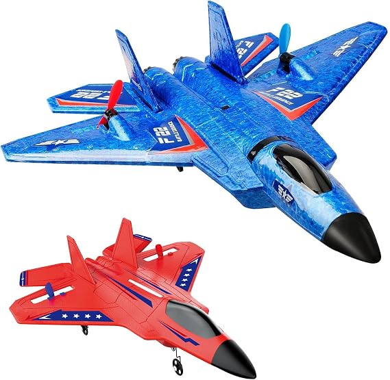 2CH F-22 Raptor Gravity Gliders RC Airplane for Beginners
