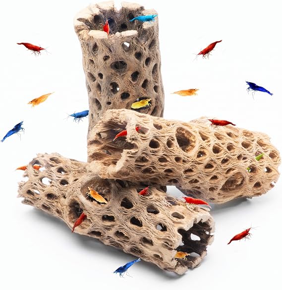 SubstrateSource Natural Cholla Wood - Driftwood for Aquariums, Air Plant Base, Hermit Crab and Freshwater Shrimp Hideout, Fish Tank Decoration, Chinchilla Chews, Reptile Habitat Wood - 4 Inch, 3pc