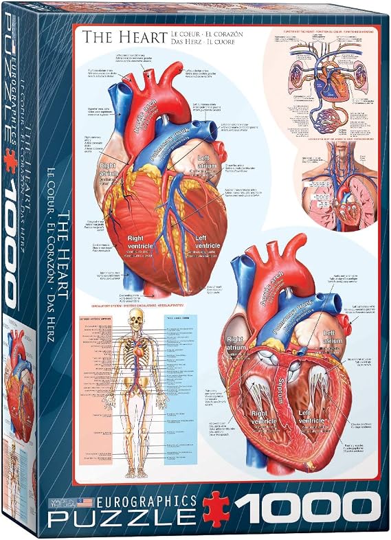 EuroGraphics Human Body (The Heart) Puzzle (1000-Piece) , Blue
