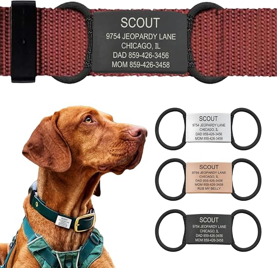 Road iD Personalized Dog Tags for Pets, Silent Name Tag for Dog Collar