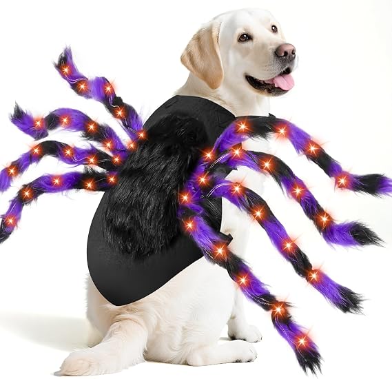 Halloween Light up Spider Dog Costumes for Small Medium Large Dogs