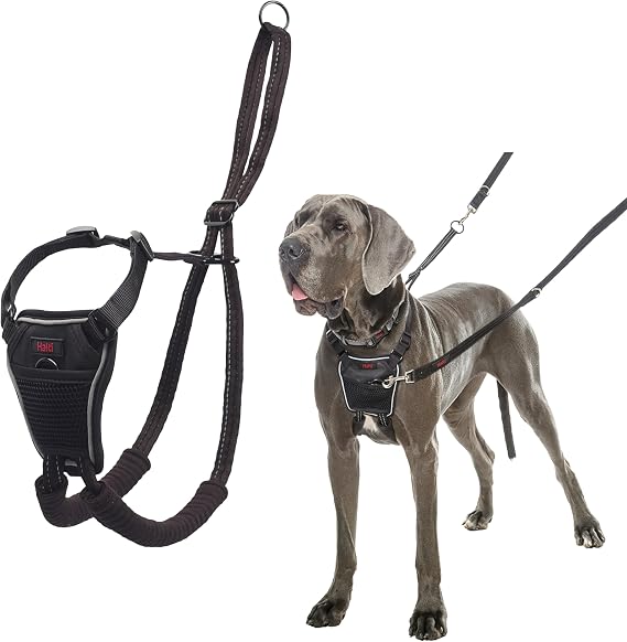 Halti No Pull Dog Harness | Size L, Black | Stop Your Dog Pulling on the Leash | Adjustable, Lightweight, and Easy to Use | Dog Training Harness for Large Dogs
