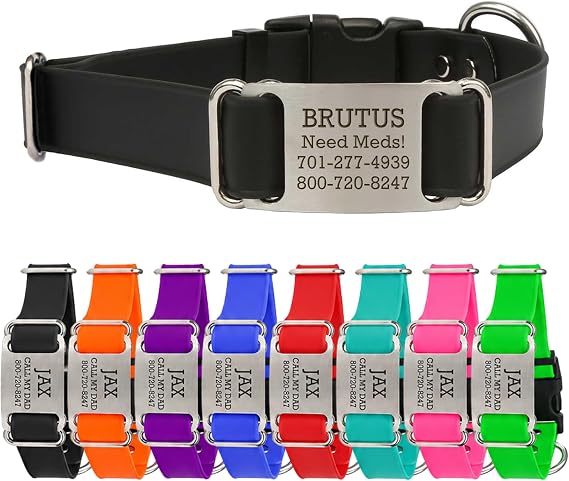 dogIDs Personalized Quick Release Waterprooft ScruffTag Dog Collar - Built-in Custom Laser Engraved Nameplate, Odor Resistant - Black, 1 in x 13-18 in (Fits Neck Sizes: 13-18 in)