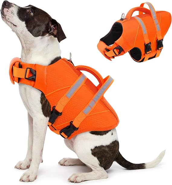 Queenmore High-Visible XS Dog Life Jacket for Swimming, Boating & Pool