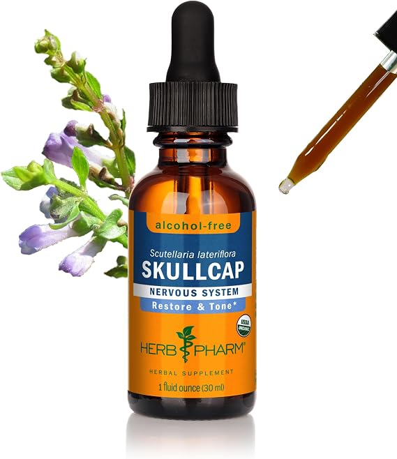 Herb Pharm Skullcap, Alcohol-Free Liquid Herbal Extract: Traditional Relaxing Skullcap Herb, Calm Mind Support | Sugar-Free, Non-GMO, Gluten-Free, Skullcap Tincture, Up to ~3 Week Supply, 1 oz*