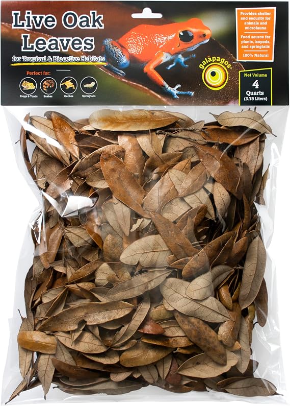 Galapagos (05154) Natural Live Oak Leaf Litter, Ideal Leaf Litter for Reptiles, Isopods & Bioactive Terrariums, 4QT, Natural