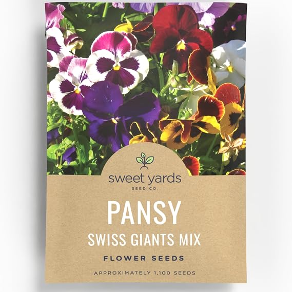Pansy Swiss Giants Mix - Large 1,500mg Envelope - 1,100 Flower Seeds for Planting - Viola wittrockiana