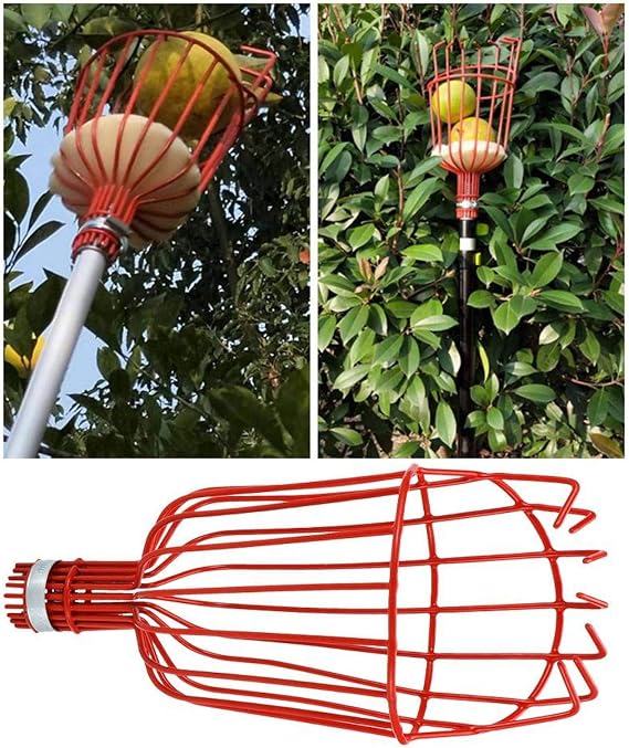 Fruit Picker Head, Professional Multipurpose Fruit Picker Tool Steel for Avocado for Pear for Harvesting Fruit for Lemon