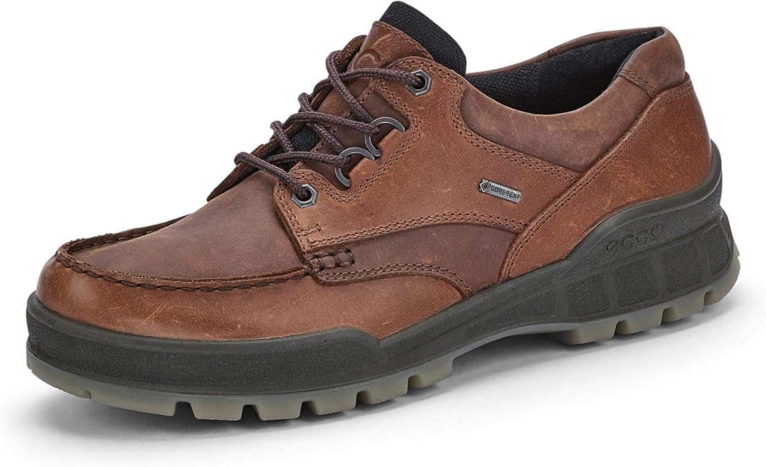 Ecco Men's Track II Low GORE-TEX waterproof outdoor hiking shoe