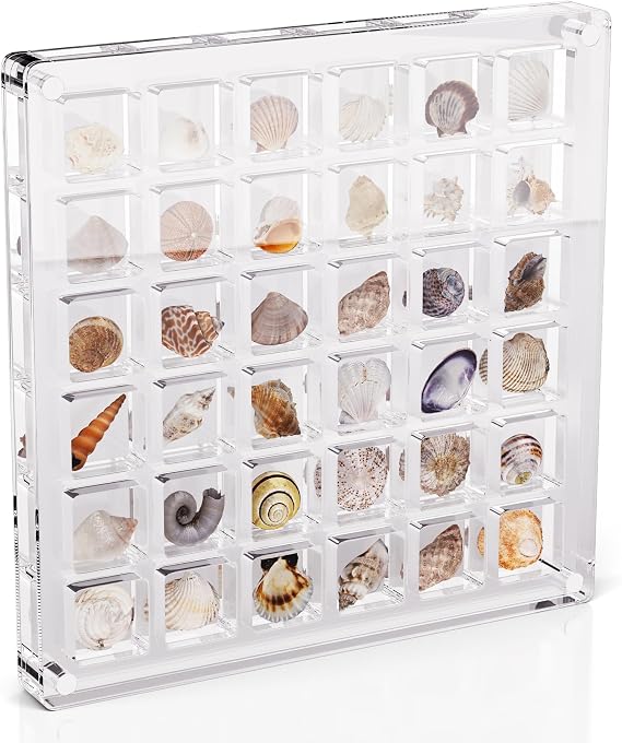 Acrylic Seashell Display Box - 36 Grid Clear Acrylic Seashell Display 
