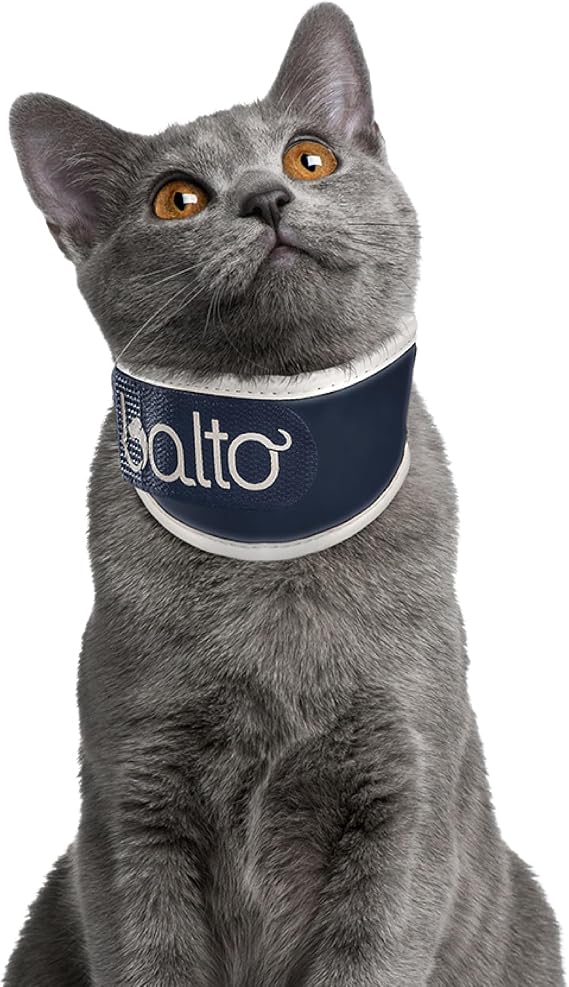 Orthopedic Cat Neck Brace Cervical Spine Support Collar for Cats Lightweight, Adjustable, Soft Padded Neck Stabilizer for Injury Recovery, Post-Surgery, Arthritis Vet Recommended - XXSmall