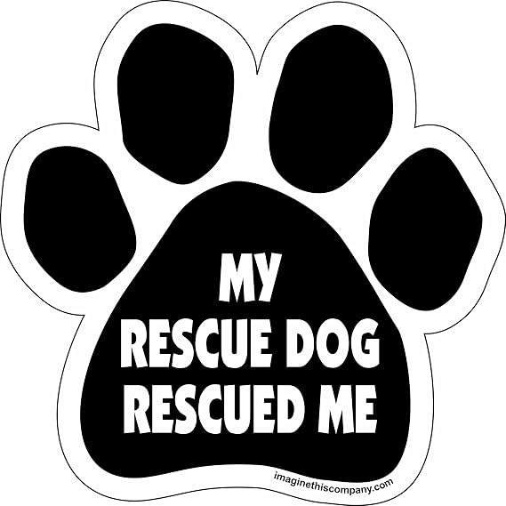 Paw Car Magnet, My Rescue Rescued Me, 5-1/2-Inch by 5-1/2-Inch