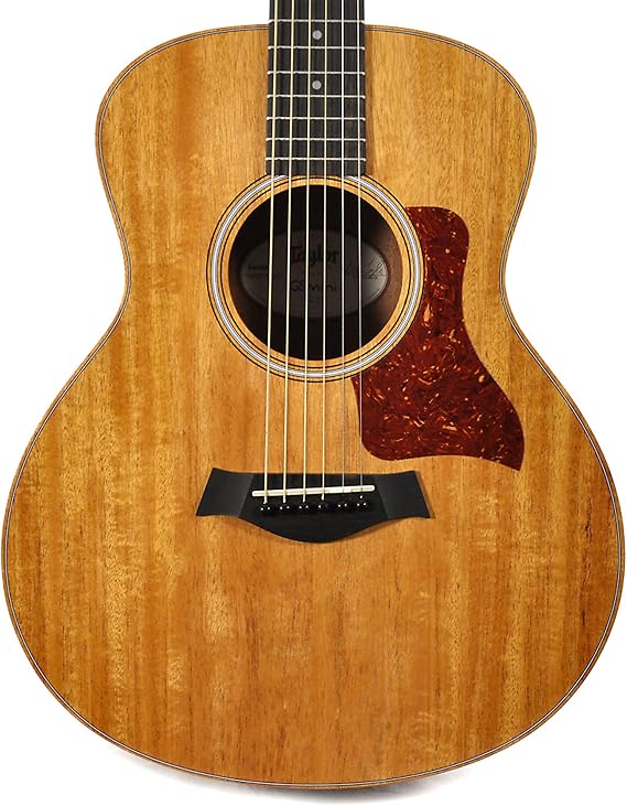 Taylor GS Mini Mahogany - Natural