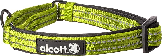 alcott Martingale Collar with Reflective Stitching & Neoprene Padding, Medium, Green