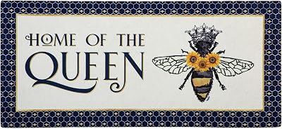 Evergreen Flag Spring Sassafras Switch Mat Inserts, Interchangeable Front Door Mat Outdoor Entrance, Indoor Door Mats for Entryway, 22 x 10 Inches Sassafras Doormat Inserts Queen Bee