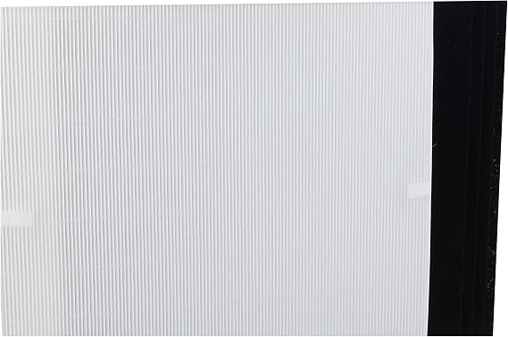Genuine Winix 113250 Replacement Filter E for P450, White/Black