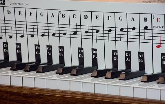 QMG Piano Note Chart Used Behind the Keys, Foam PVC Sheet, Visual Reference for Piano Players, Easy Setup, Covers Four Octaves, Made in USA
